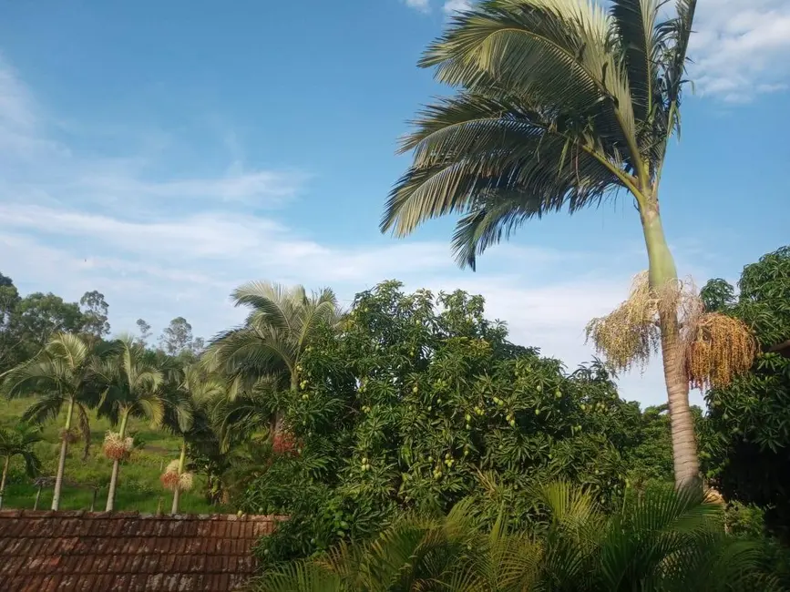Foto 17 de Chácara à venda, 10000m2 em Londrina - PR
