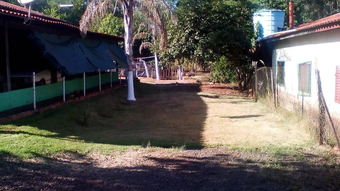 Chácara com 3 quartos à venda, 1550m2 em Jataizinho - PR - imagem 7 Foto 7 de Chácara com 3 quartos à venda, 1550m2 em Jataizinho - PR