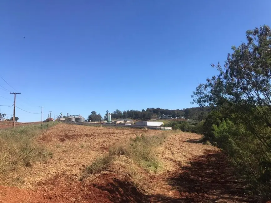 Chácara à venda, 21000m2 em Londrina - PR - imagem 5 Foto 5 de Chácara à venda, 21000m2 em Londrina - PR