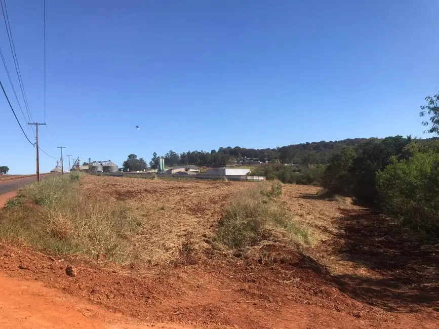 Chácara à venda, 21000m2 em Londrina - PR - imagem 7 Foto 7 de Chácara à venda, 21000m2 em Londrina - PR