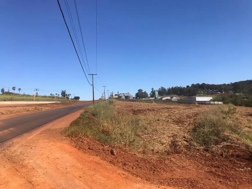 Chácara à venda, 21000m2 em Londrina - PR - imagem 8 Foto 8 de Chácara à venda, 21000m2 em Londrina - PR