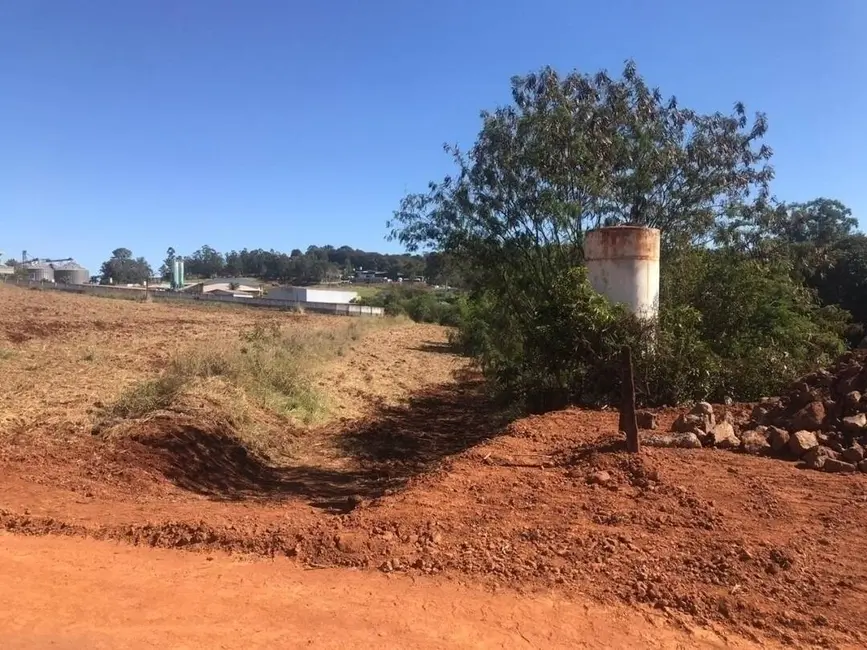 Chácara à venda, 21000m2 em Londrina - PR - imagem 6 Foto 6 de Chácara à venda, 21000m2 em Londrina - PR