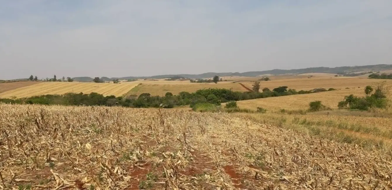 Foto 1 de Sítio / Rancho à venda, 10m2 em Jataizinho - PR