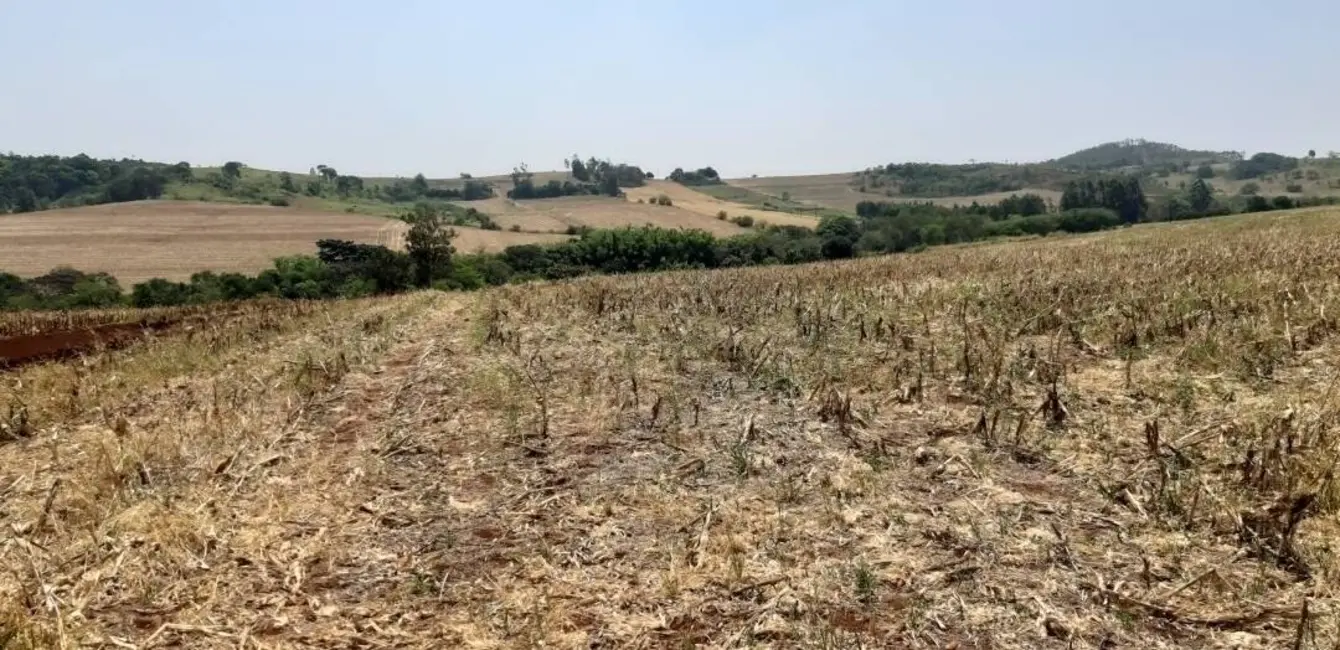 Foto 4 de Sítio / Rancho à venda, 10m2 em Jataizinho - PR