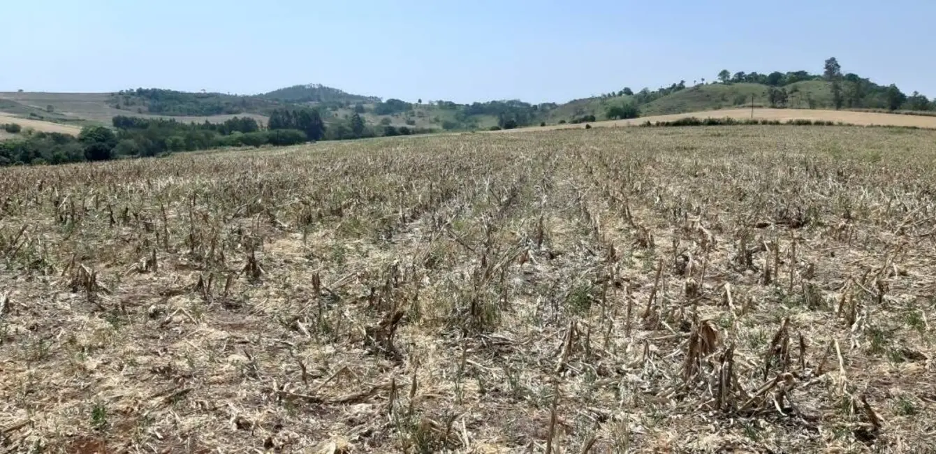Foto 6 de Sítio / Rancho à venda, 10m2 em Jataizinho - PR