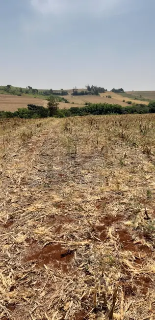 Foto 3 de Sítio / Rancho à venda, 10m2 em Jataizinho - PR