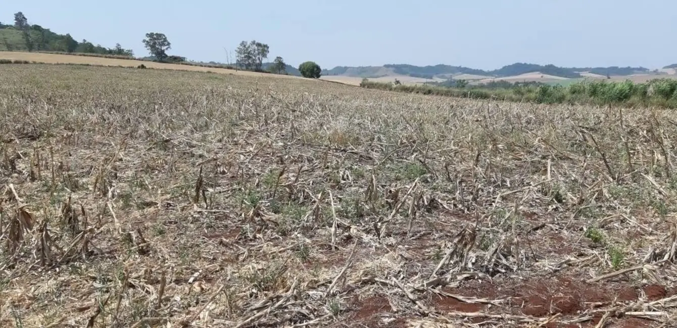 Foto 5 de Sítio / Rancho à venda, 10m2 em Jataizinho - PR