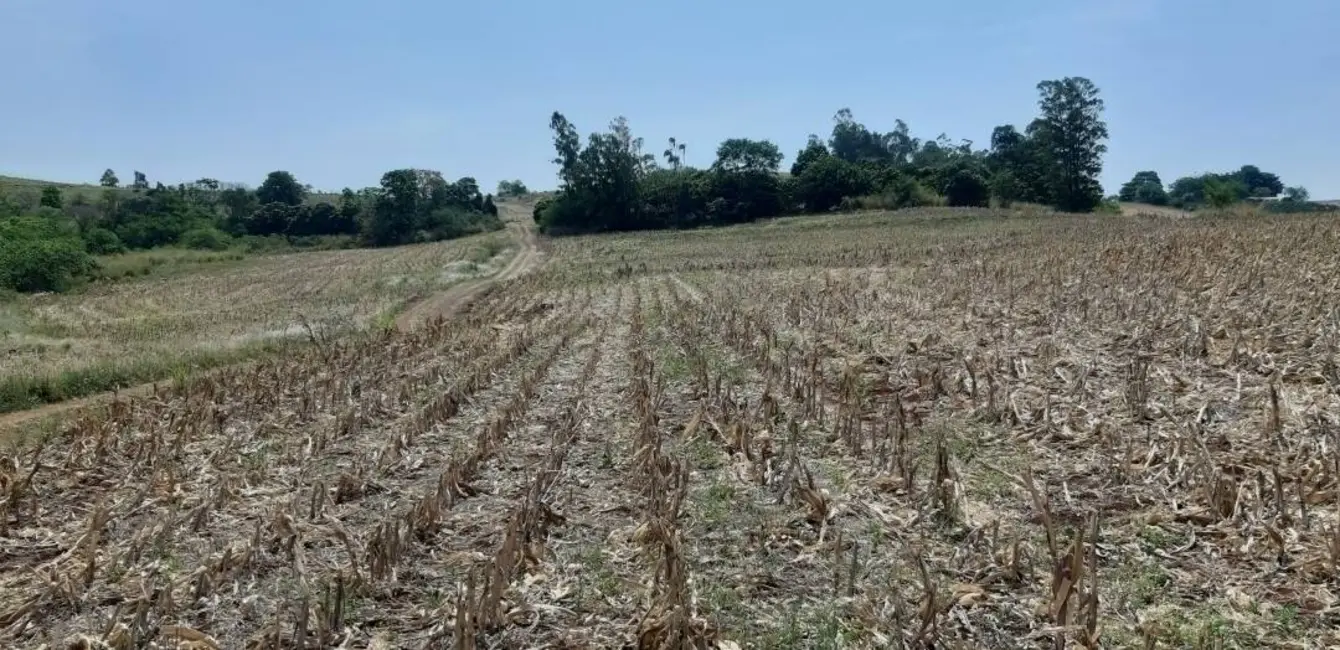 Foto 7 de Sítio / Rancho à venda, 10m2 em Jataizinho - PR