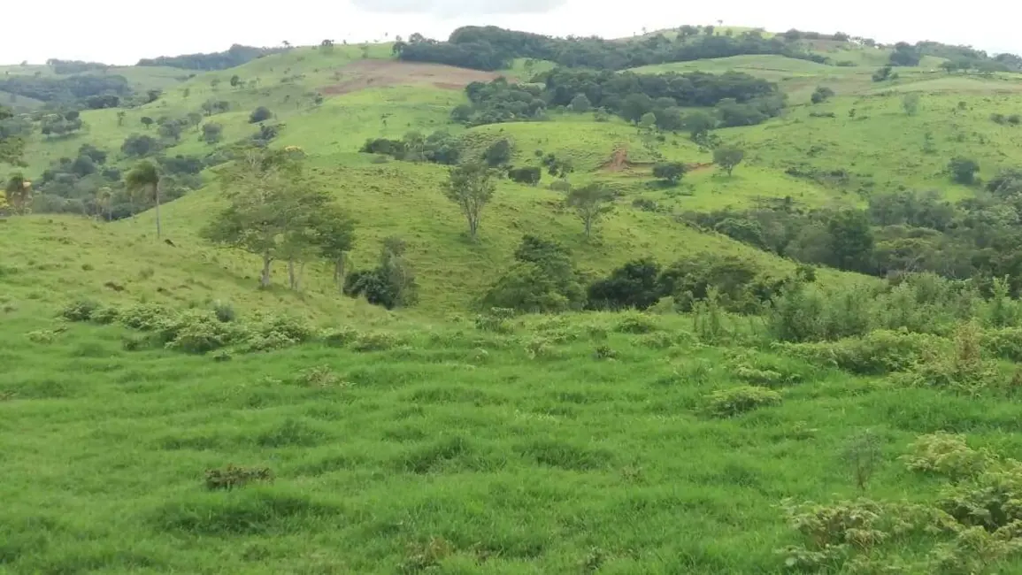 Foto 4 de Fazenda / Haras à venda, 188m2 em Manoel Ribas - PR