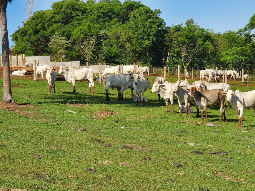 Foto 1 de Sítio / Rancho à venda em Rio Bom - PR