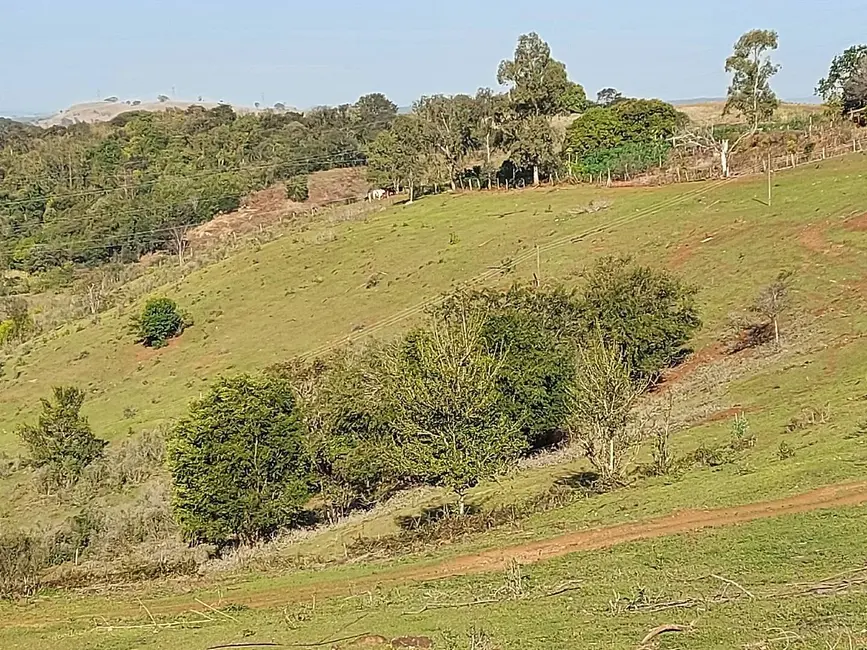 Foto 2 de Sítio / Rancho à venda, 25m2 em Área Rural de Londrina, Londrina - PR