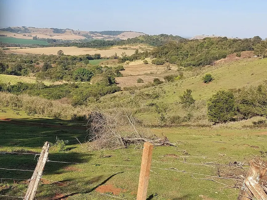 Foto 1 de Sítio / Rancho à venda, 25m2 em Área Rural de Londrina, Londrina - PR