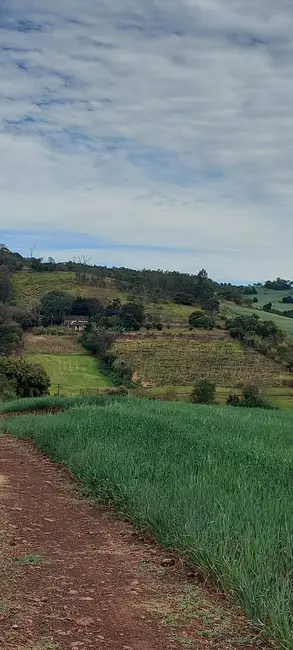 Foto 1 de Sítio / Rancho à venda em Assai - PR