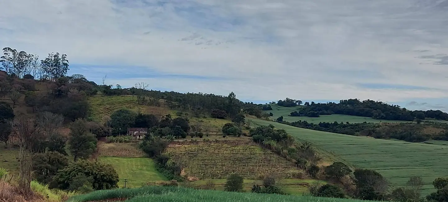 Foto 2 de Sítio / Rancho à venda em Assai - PR