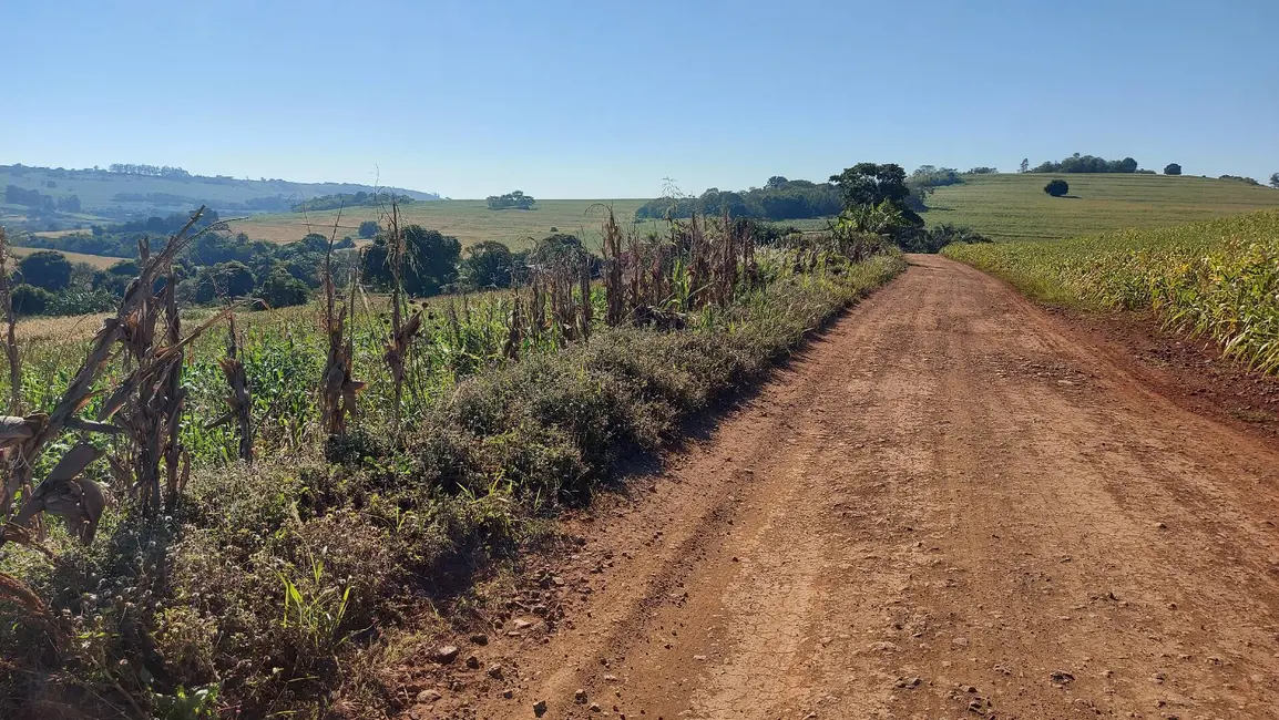 Sítio / Rancho à venda em Sertanopolis - PR - imagem 3 Foto 3 de Sítio / Rancho à venda em Sertanopolis - PR