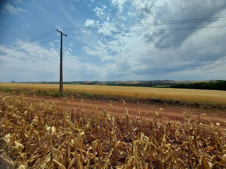 Foto 3 de Sítio / Rancho à venda em Ibipora - PR
