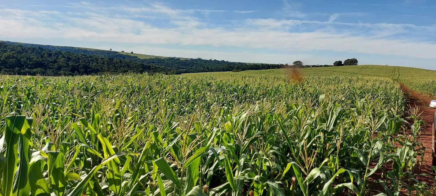Foto 3 de Sítio / Rancho à venda, 22183m2 em Porecatu - PR