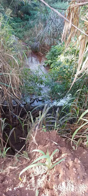 Foto 4 de Sítio / Rancho à venda, 22183m2 em Porecatu - PR