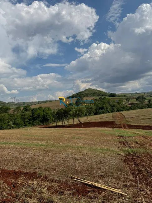 Chácara à venda, 1204m2 em Londrina - PR - imagem 4 Foto 4 de Chácara à venda, 1204m2 em Londrina - PR