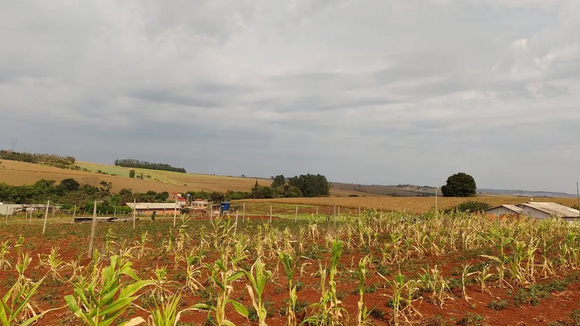 Chácara à venda, 1080m2 em Jataizinho - PR - imagem 6 Foto 6 de Chácara à venda, 1080m2 em Jataizinho - PR