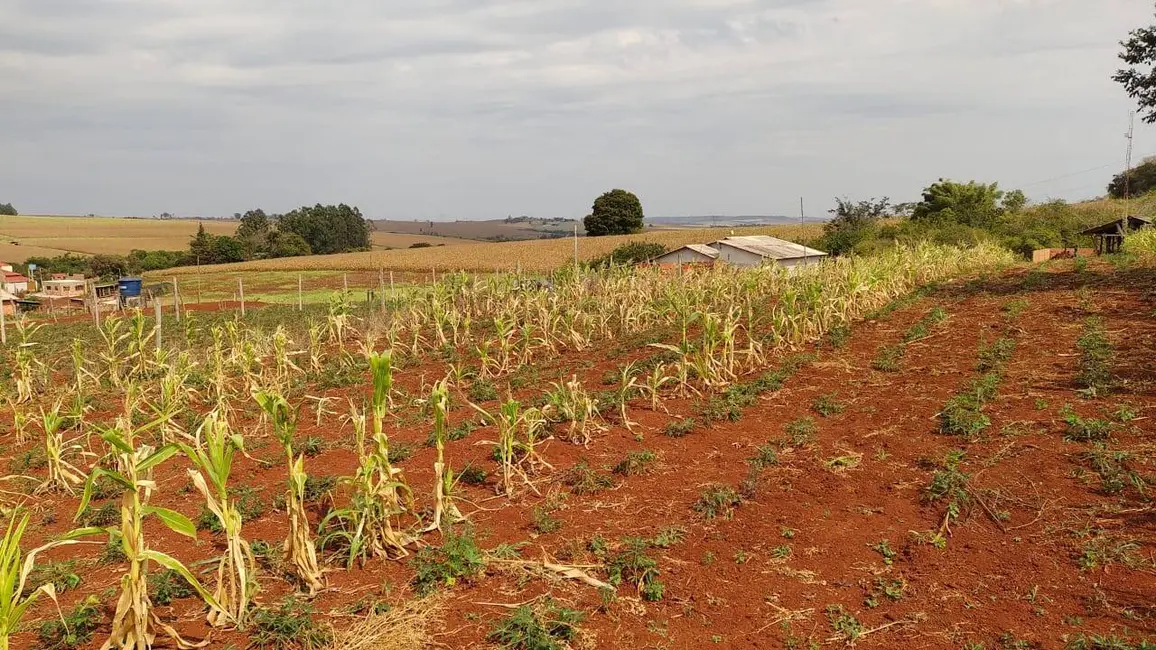 Foto 1 de Chácara à venda, 1080m2 em Jataizinho - PR