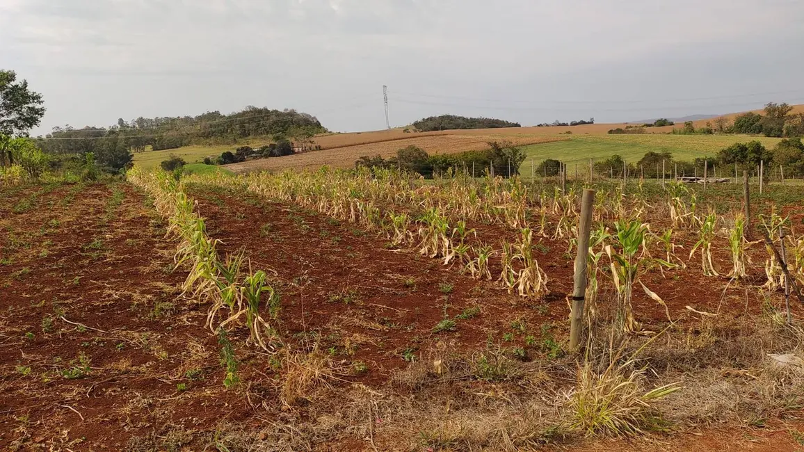 Chácara à venda, 1080m2 em Jataizinho - PR - imagem 5 Foto 5 de Chácara à venda, 1080m2 em Jataizinho - PR
