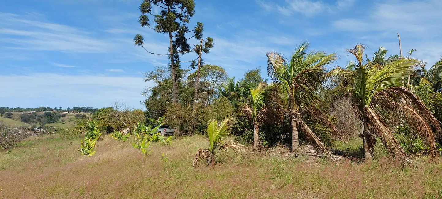 Chácara à venda, 15500m2 em Londrina - PR - imagem 8 Foto 8 de Chácara à venda, 15500m2 em Londrina - PR