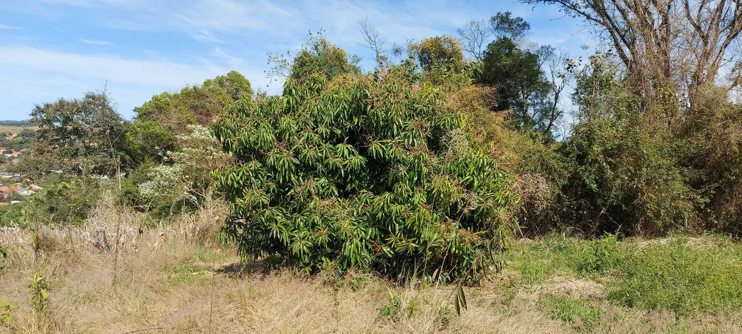 Foto 15 de Chácara à venda, 15500m2 em Londrina - PR