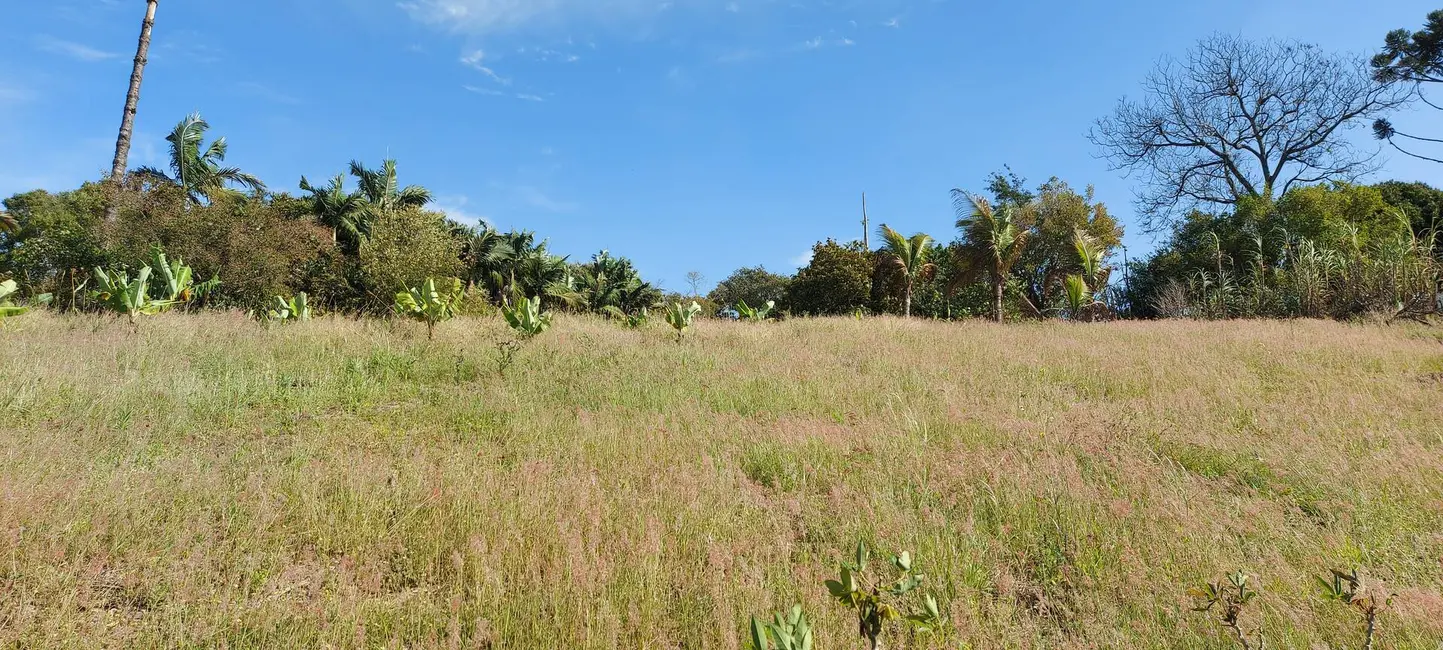 Chácara à venda, 15500m2 em Londrina - PR - imagem 6 Foto 6 de Chácara à venda, 15500m2 em Londrina - PR