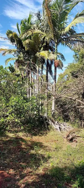 Foto 3 de Chácara à venda, 15500m2 em Londrina - PR