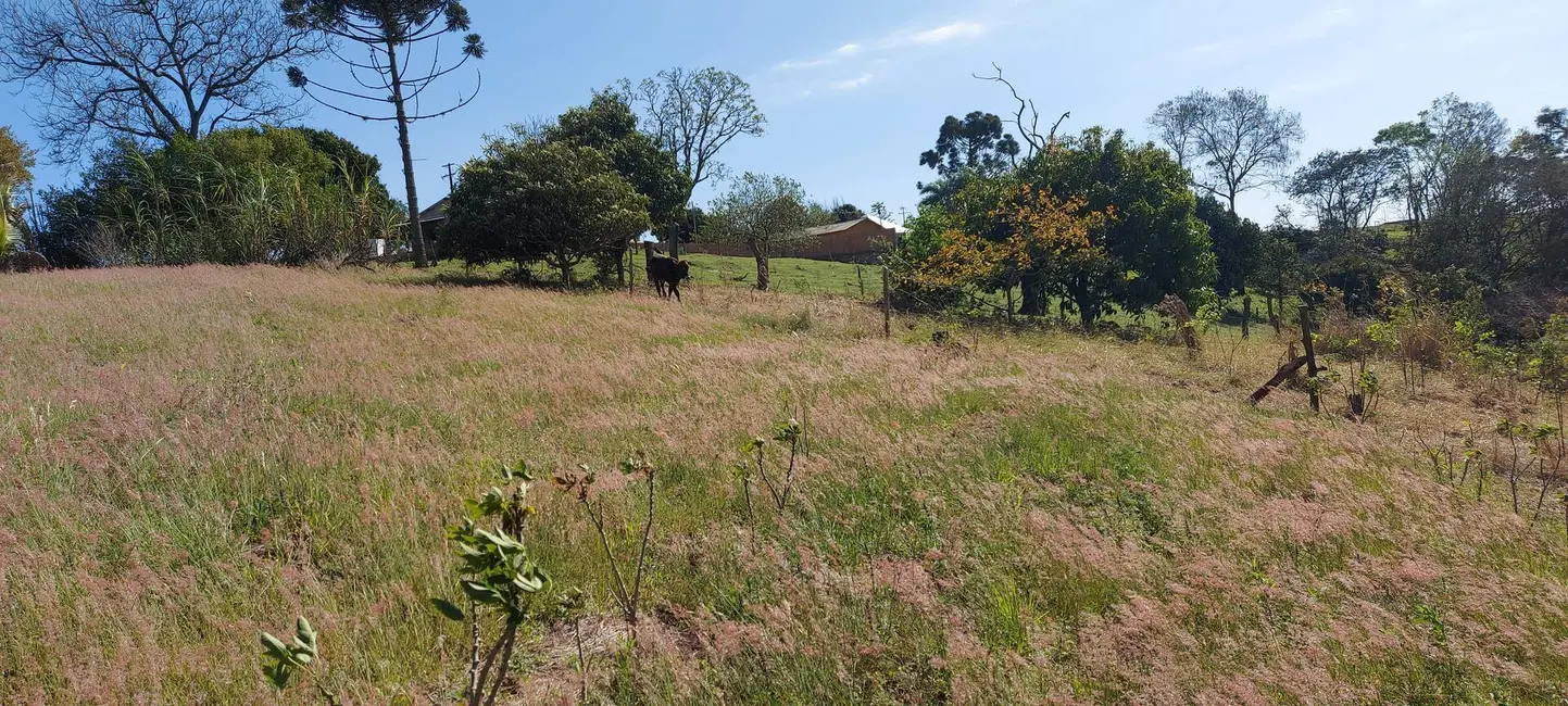 Chácara à venda, 15500m2 em Londrina - PR - imagem 7 Foto 7 de Chácara à venda, 15500m2 em Londrina - PR