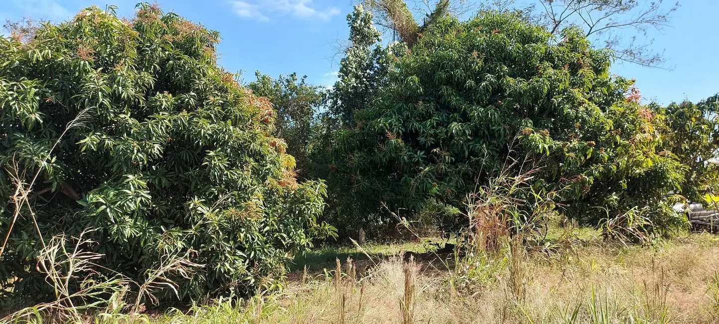 Foto 16 de Chácara à venda, 15500m2 em Londrina - PR