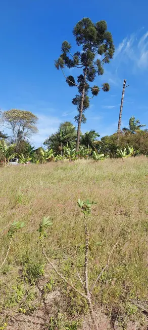 Chácara à venda, 15500m2 em Londrina - PR - imagem 5 Foto 5 de Chácara à venda, 15500m2 em Londrina - PR