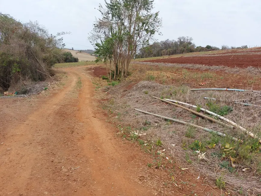 Foto 10 de Chácara à venda, 4000m2 em Londrina - PR