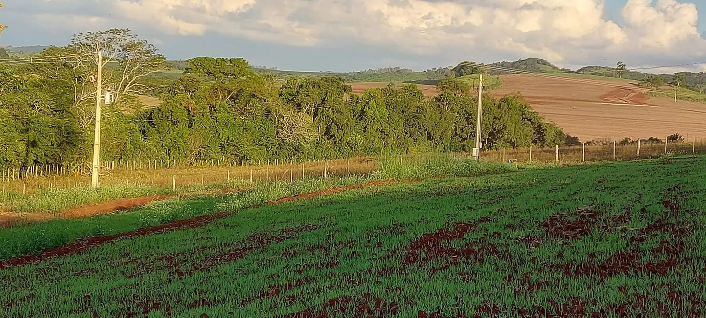 Foto 6 de Chácara à venda, 4000m2 em Londrina - PR