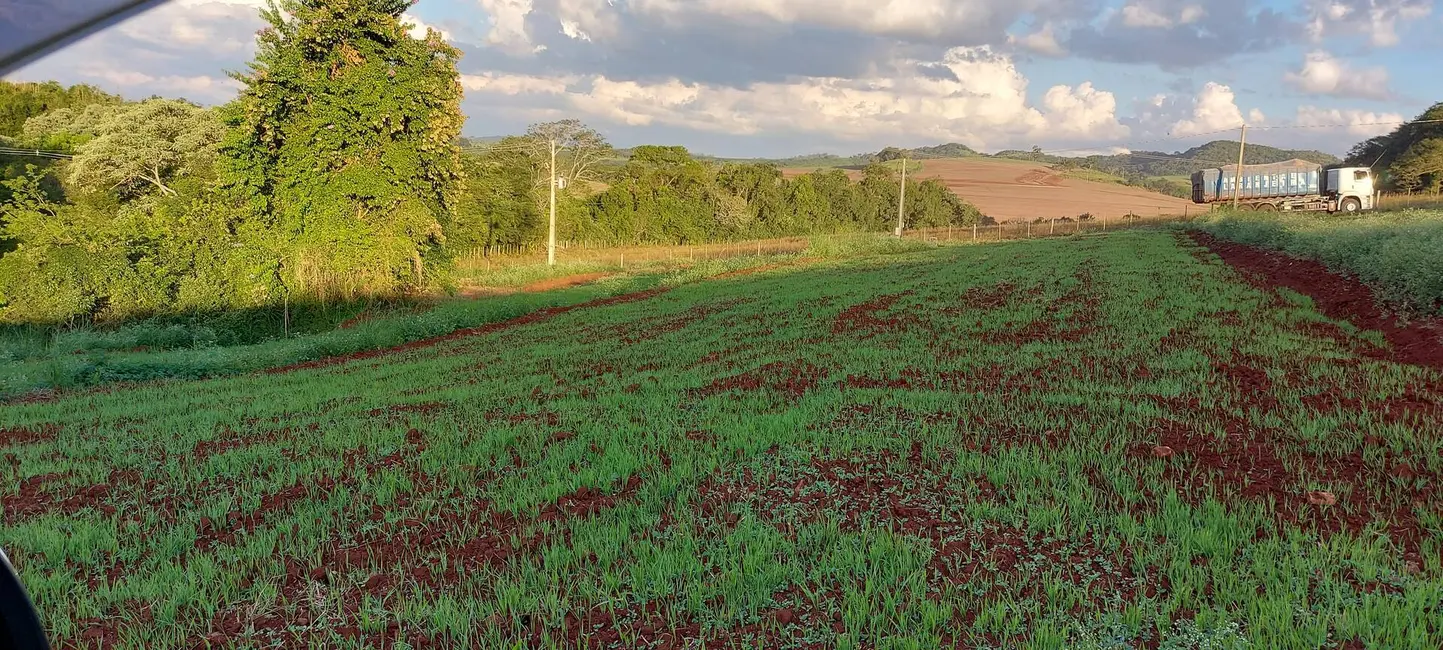Foto 8 de Chácara à venda, 4000m2 em Londrina - PR