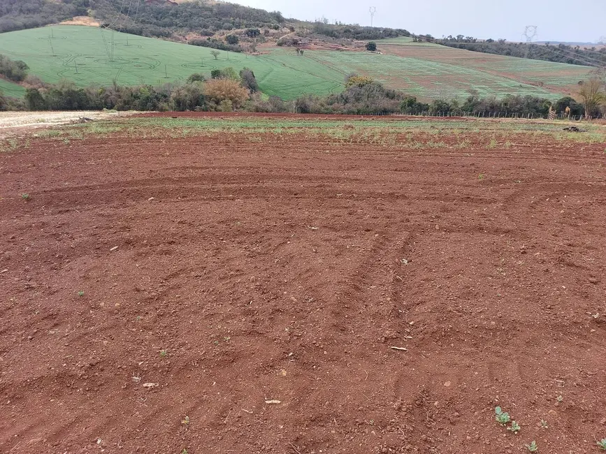Foto 9 de Chácara à venda, 4000m2 em Londrina - PR