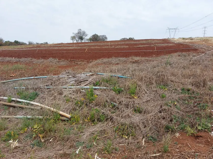 Foto 12 de Chácara à venda, 4000m2 em Londrina - PR