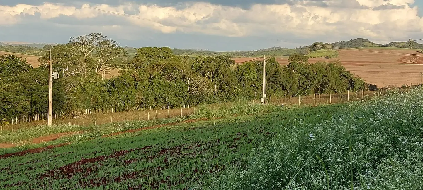 Foto 7 de Chácara à venda, 4000m2 em Londrina - PR