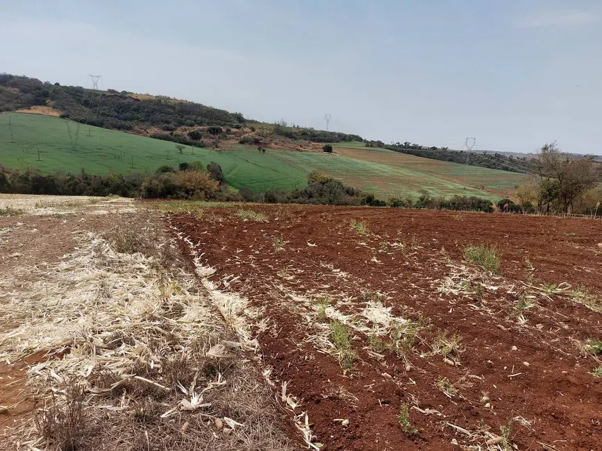 Foto 13 de Chácara à venda, 4000m2 em Londrina - PR