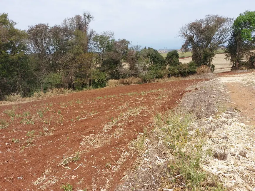 Foto 11 de Chácara à venda, 4000m2 em Londrina - PR