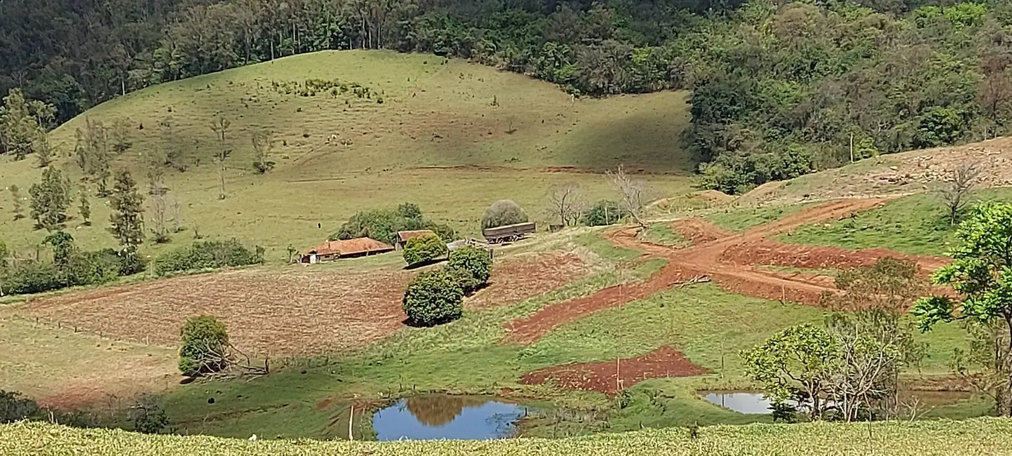 Foto 1 de Chácara à venda, 26000m2 em Londrina - PR