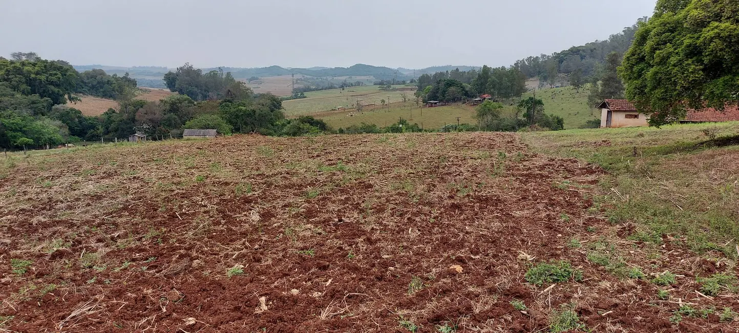 Chácara à venda, 26000m2 em Londrina - PR - imagem 3 Foto 3 de Chácara à venda, 26000m2 em Londrina - PR