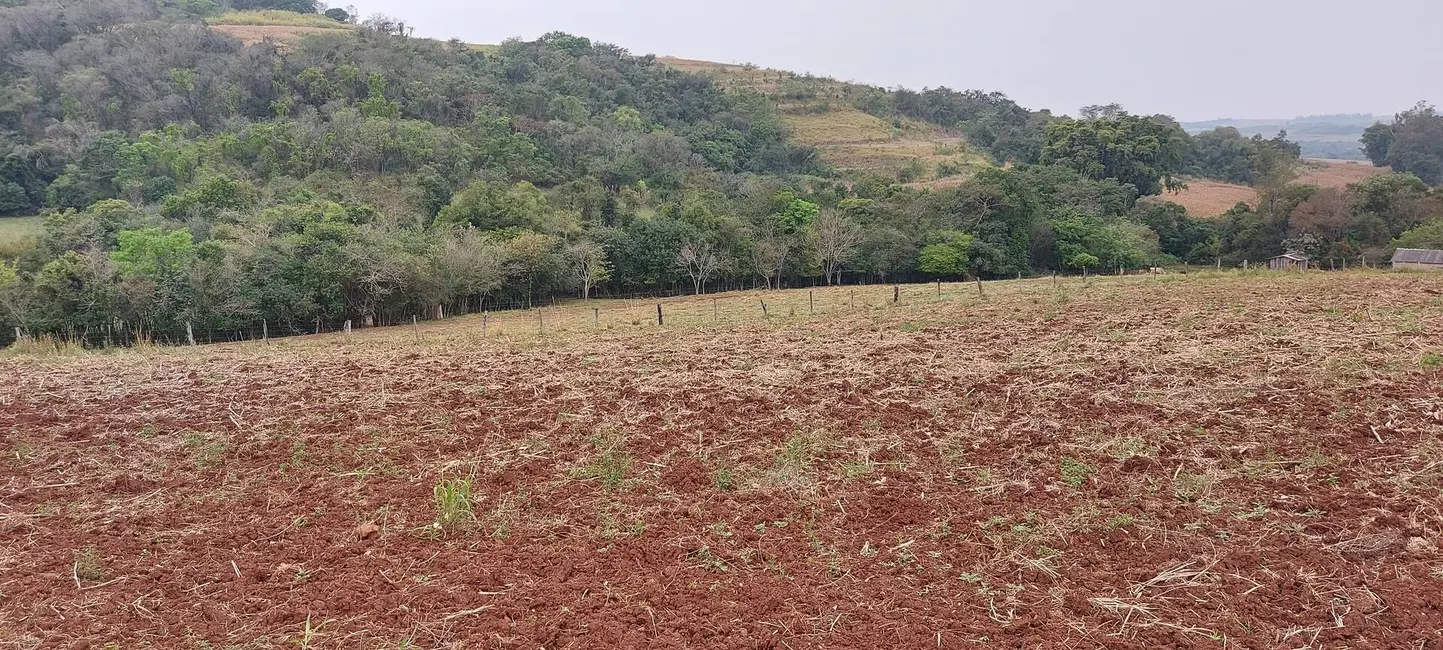 Chácara à venda, 26000m2 em Londrina - PR - imagem 5 Foto 5 de Chácara à venda, 26000m2 em Londrina - PR