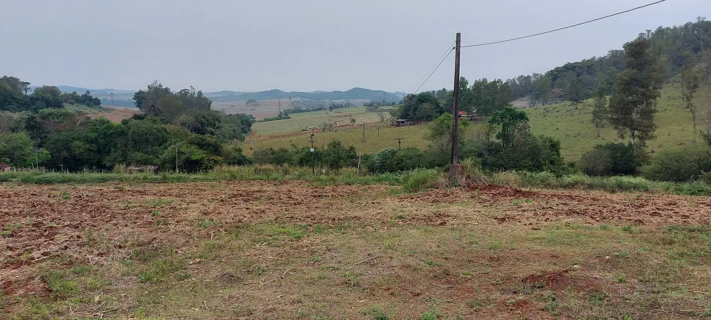 Chácara à venda, 26000m2 em Londrina - PR - imagem 6 Foto 6 de Chácara à venda, 26000m2 em Londrina - PR