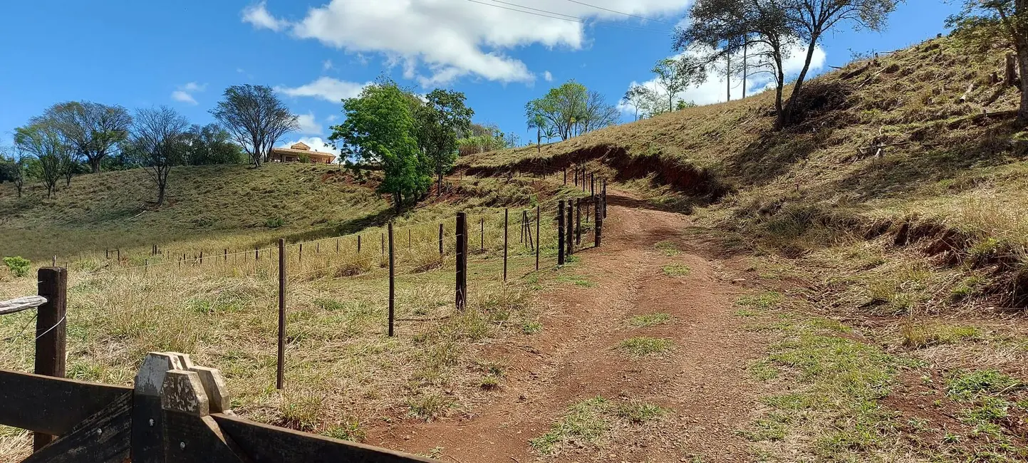 Foto 2 de Chácara à venda, 30000m2 em Londrina - PR