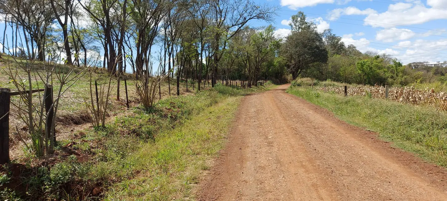 Foto 1 de Chácara à venda, 30000m2 em Londrina - PR