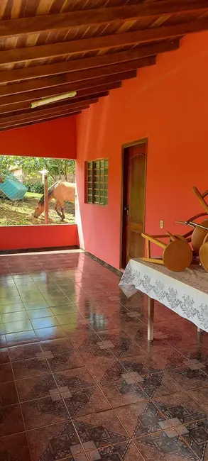 Chácara com 2 quartos à venda, 6000m2 em Londrina - PR - imagem 4 Foto 4 de Chácara com 2 quartos à venda, 6000m2 em Londrina - PR