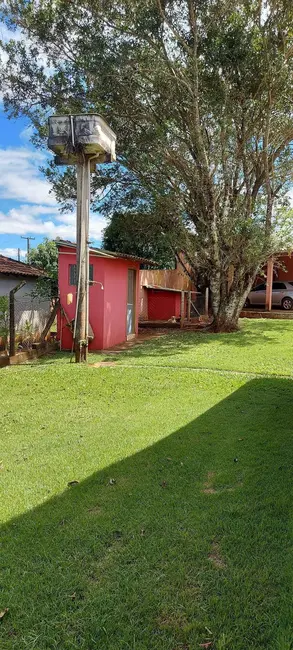 Chácara com 2 quartos à venda, 6000m2 em Londrina - PR - imagem 3 Foto 3 de Chácara com 2 quartos à venda, 6000m2 em Londrina - PR