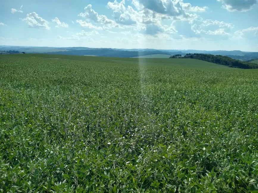 Foto 3 de Sítio / Rancho à venda em Assai - PR